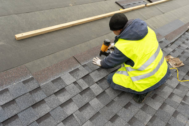 Roof Gutter Cleaning in Houston, MO