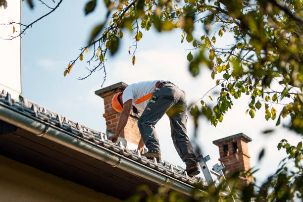 Best Roof Gutter Cleaning  in Houston, MO